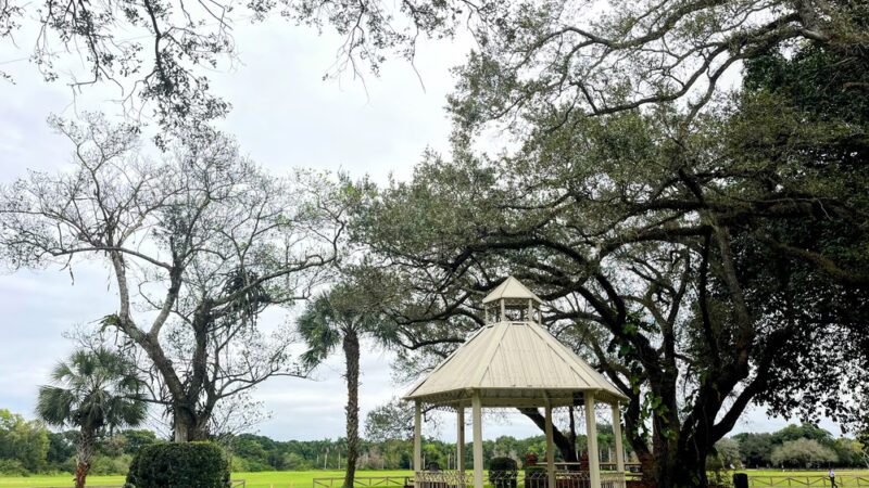 Robbins Preserve - Davie, FL