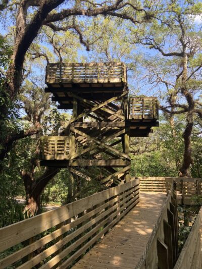 Tree Tops Park - Davie, FL