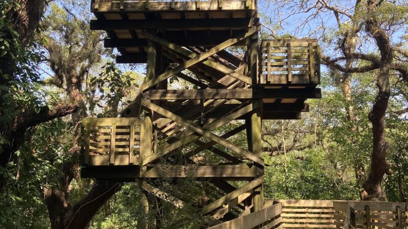 Tree Tops Park - Davie, FL