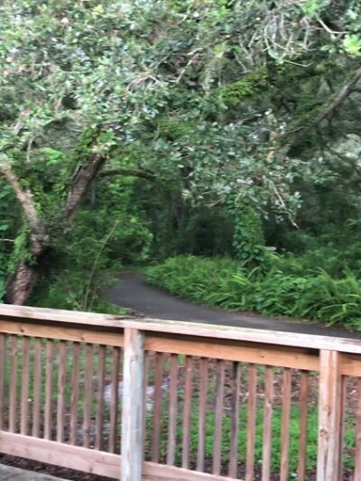 Tree Tops Park - Davie, FL