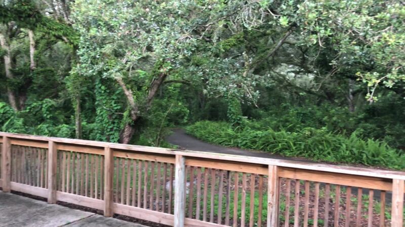 Tree Tops Park - Davie, FL