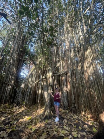 Tree Tops Park - Davie, FL