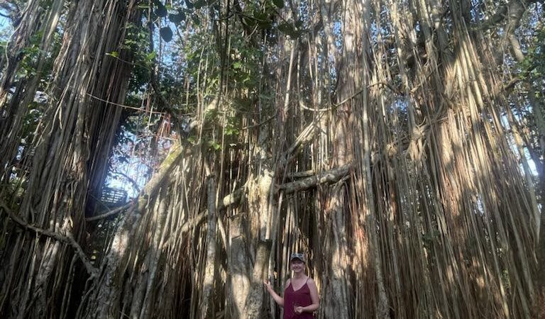 Tree Tops Park - Davie, FL