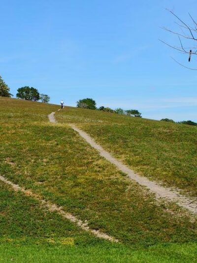 Vista View Park - Davie, FL