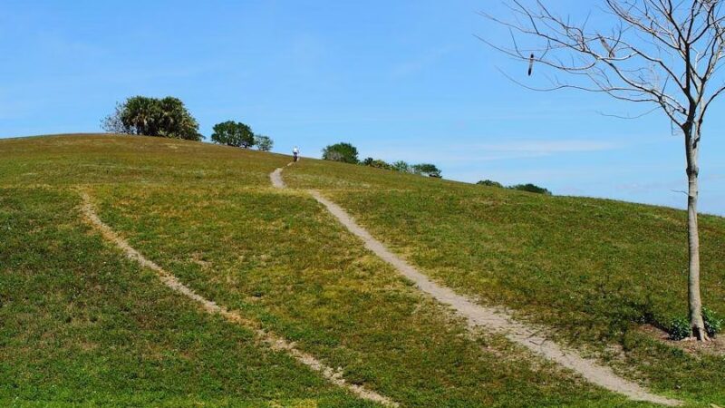Vista View Park - Davie, FL