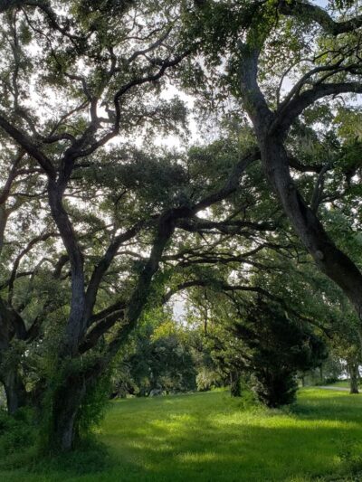 Westridge Park - Davie, FL