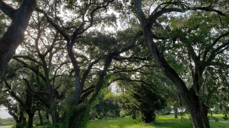 Westridge Park - Davie, FL