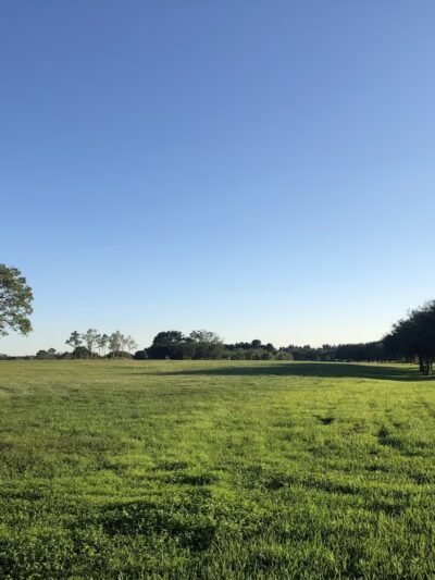 Westridge Park - Davie, FL