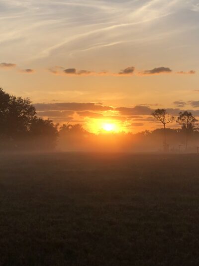 Westridge Park - Davie, FL