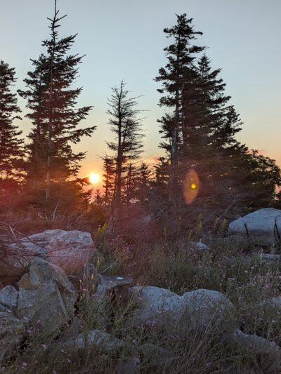 Bear Rocks Preserve - Davis, WV