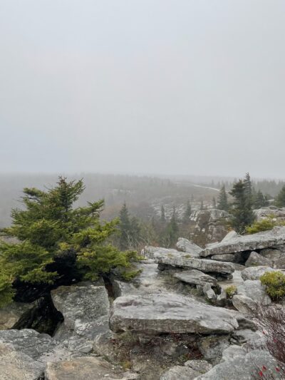 Bear Rocks Preserve - Davis, WV