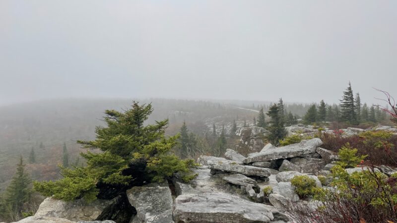 Bear Rocks Preserve - Davis, WV