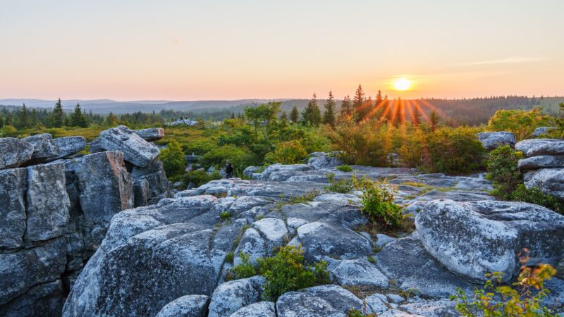 Bear Rocks Preserve - Davis, WV