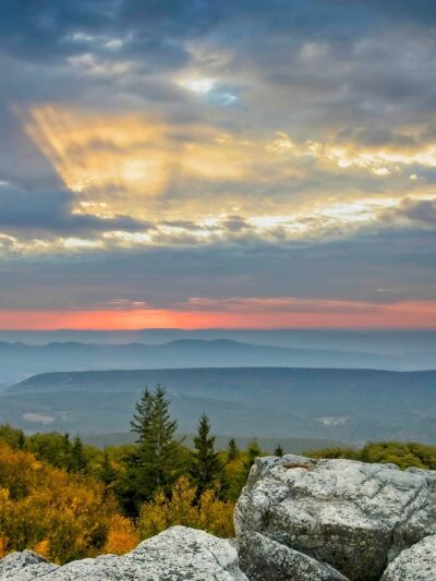Bear Rocks Preserve - Davis, WV