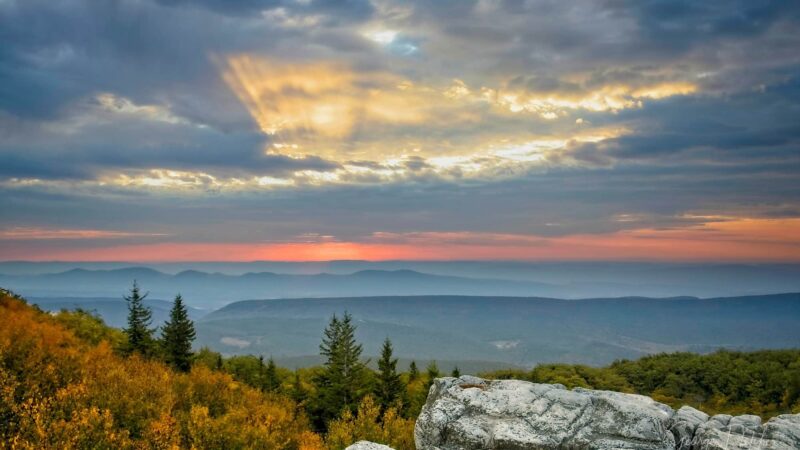 Bear Rocks Preserve - Davis, WV
