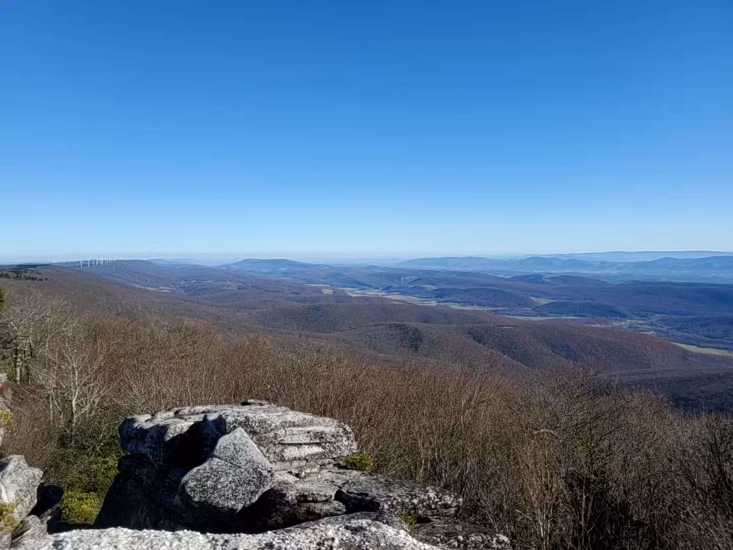 Bear Rocks Preserve - Davis, WV