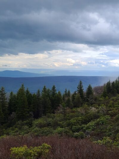 Blackbird Knob Trailhead - Davis, WV