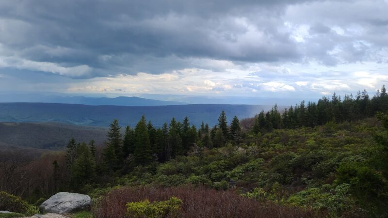 Blackbird Knob Trailhead - Davis, WV