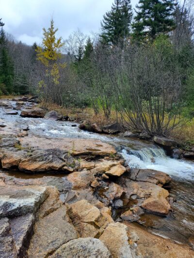 Blackbird Knob Trailhead - Davis, WV