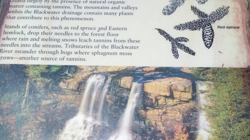 Blackwater Falls Boardwalk - Davis, WV