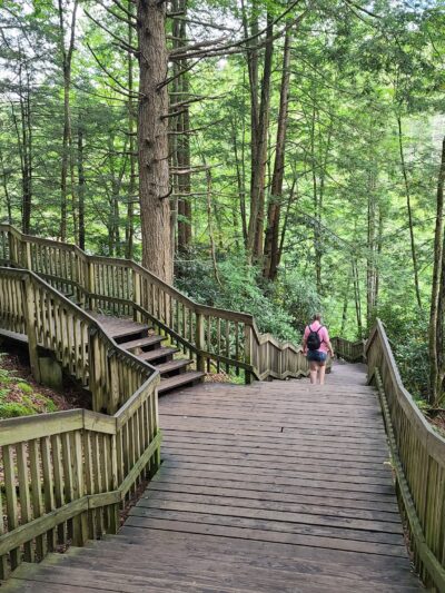 Blackwater Falls Boardwalk - Davis, WV