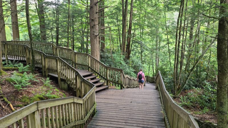 Blackwater Falls Boardwalk - Davis, WV