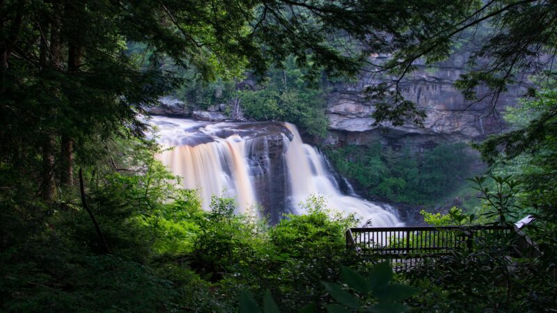 Blackwater Falls Boardwalk - Davis, WV