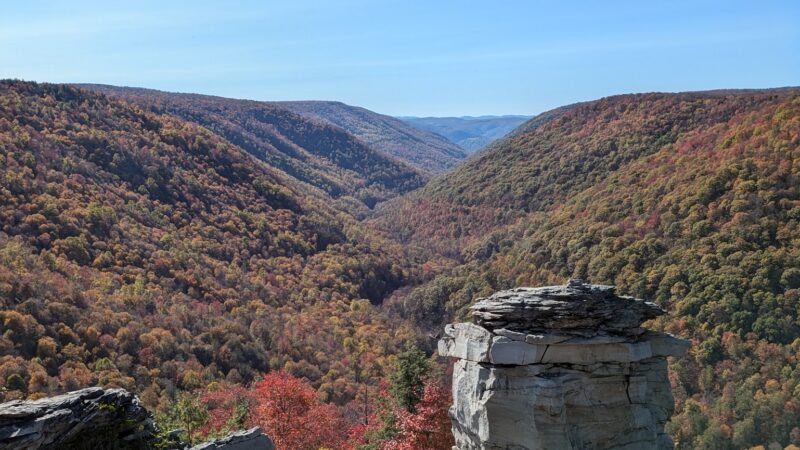 Blackwater Falls Campground - Davis, WV