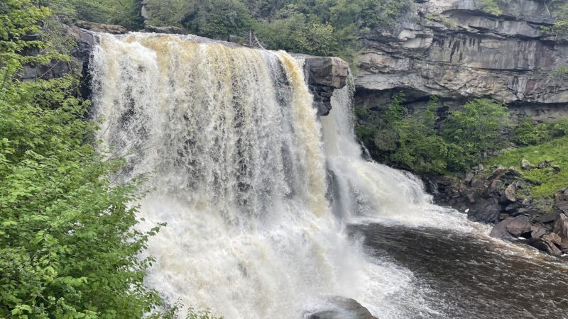 Blackwater Falls Campground - Davis, WV