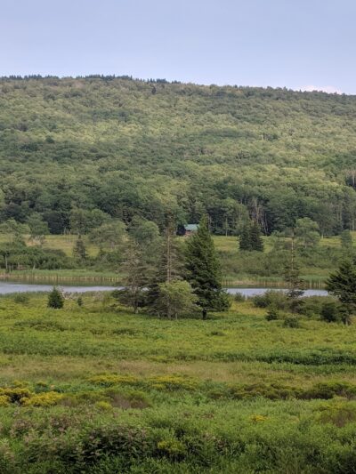 Canaan Valley National Wildlife Refuge - Davis, WV