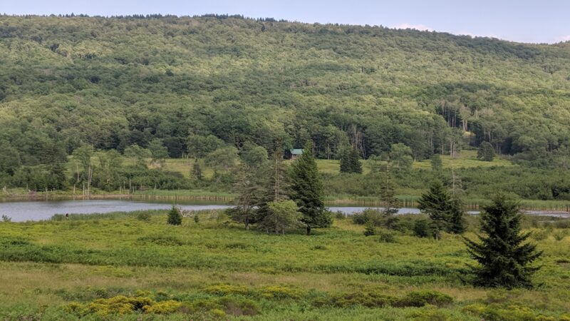 Canaan Valley National Wildlife Refuge - Davis, WV