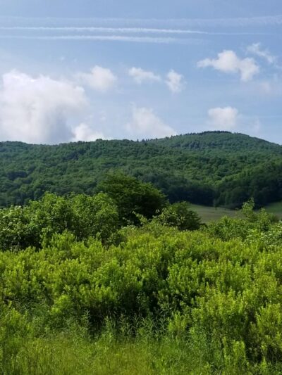 Canaan Valley National Wildlife Refuge - Davis, WV