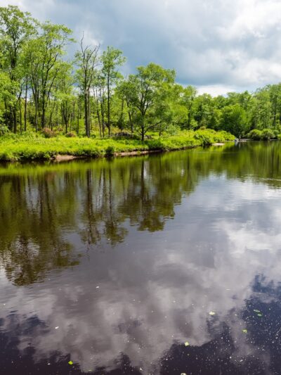 Canaan Valley National Wildlife Refuge - Davis, WV