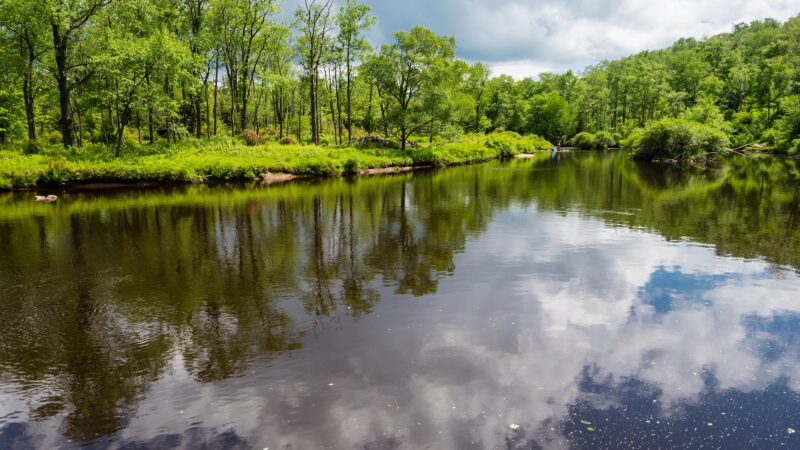 Canaan Valley National Wildlife Refuge - Davis, WV