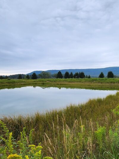 Canaan Valley National Wildlife Refuge - Davis, WV