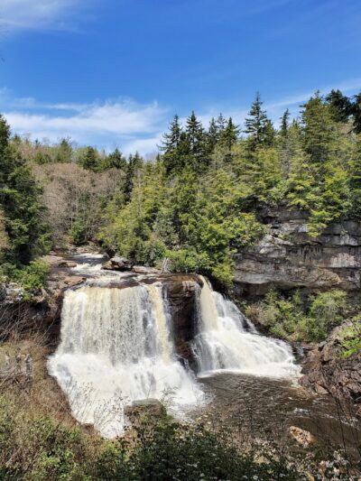 Elakala Trail - Davis, WV