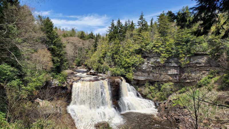 Elakala Trail - Davis, WV