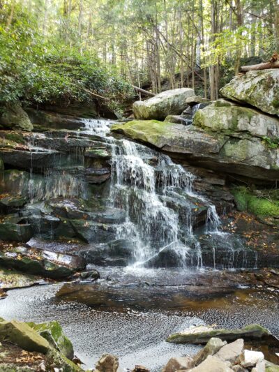 Elakala Trail - Davis, WV