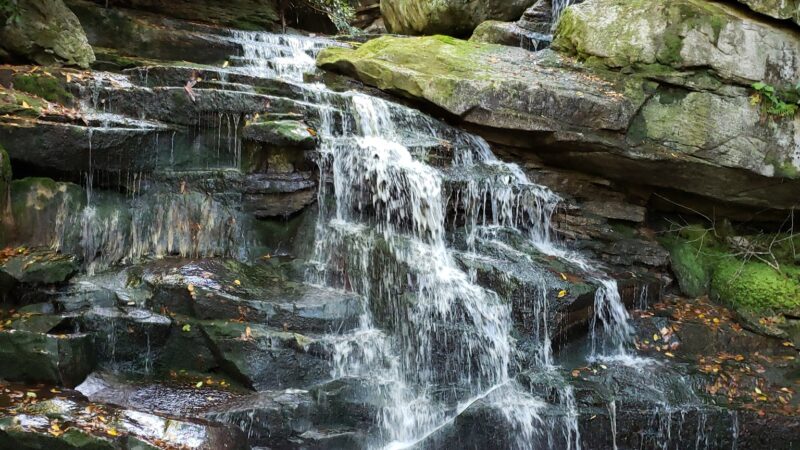 Elakala Trail - Davis, WV