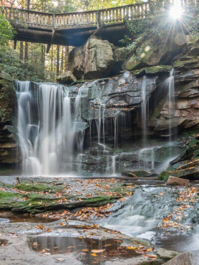 Elakala Trail - Davis, WV