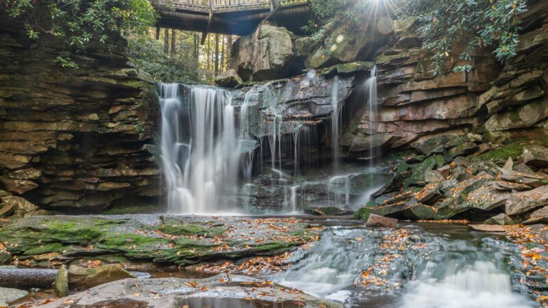 Elakala Trail - Davis, WV
