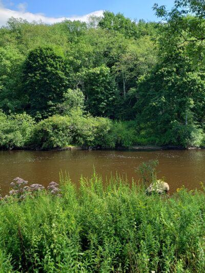 Town of Davis Riverfront Park - Davis, WV