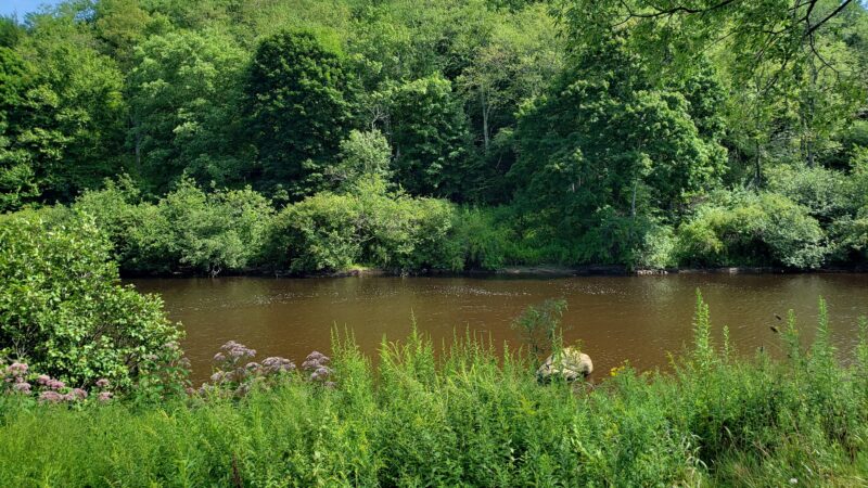 Town of Davis Riverfront Park - Davis, WV