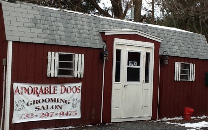 Adorable Doos - Dayton, NJ