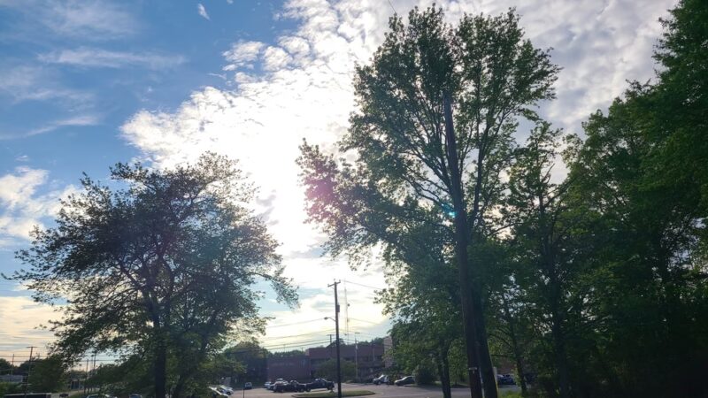 South Brunswick Township - Dayton, NJ