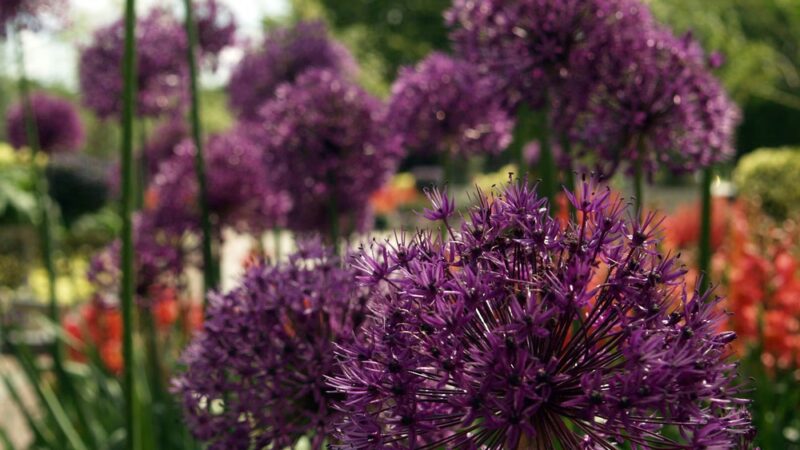 South Brunswick Township - Dayton, NJ