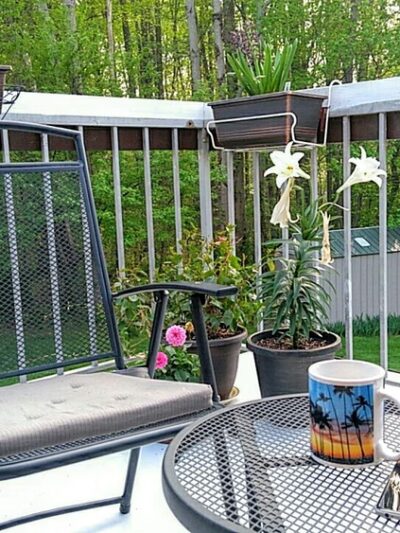 South Brunswick Township - Dayton, NJ