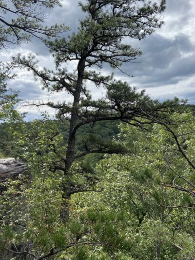 Hidden Rocks Trailhead - Dayton, VA