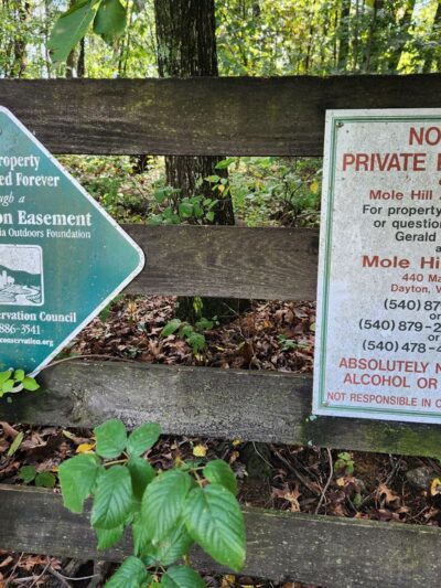 Mole Hill Peak - Dayton, VA