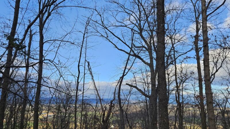 Mole Hill Peak - Dayton, VA